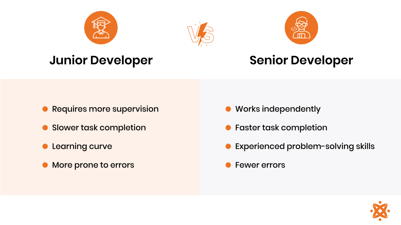 comparison of junior vs senior developer in app development